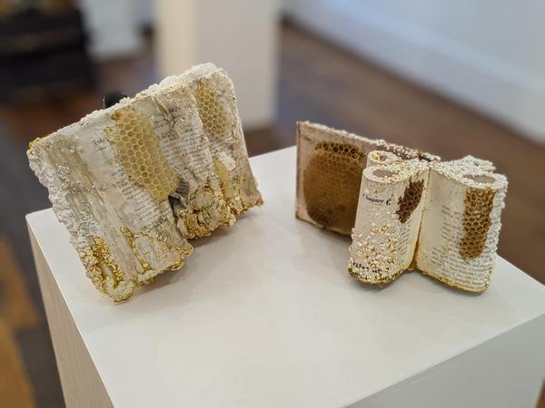 honeycomb built on top of open books