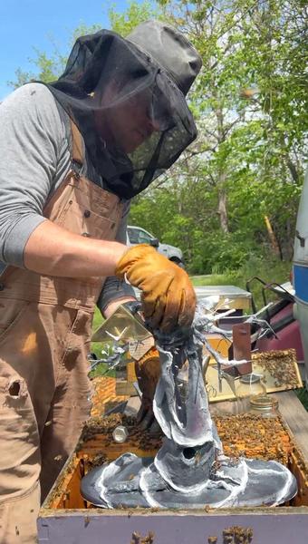 beekeeper tending to his hives