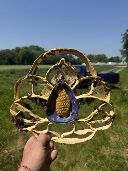 A small beehive in a flower like structure