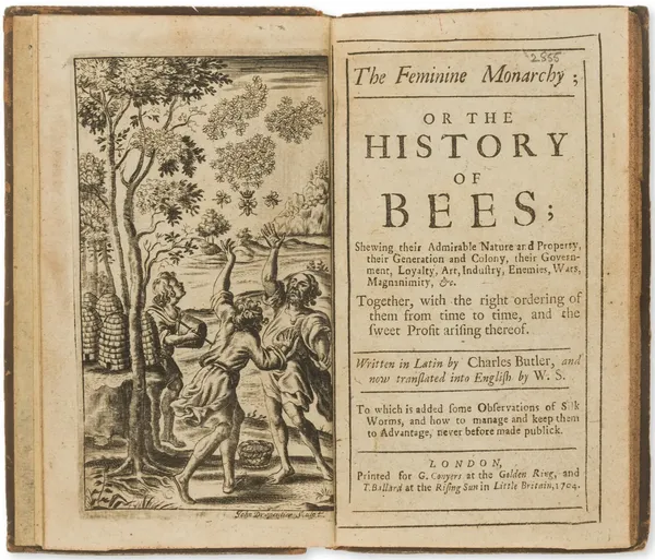 the frontispiece of the 1704 edition of the feminine monarchie with an engraving depicting three human figures and a couple of hives; the human figures are banging on a pot and looking up at the bees
