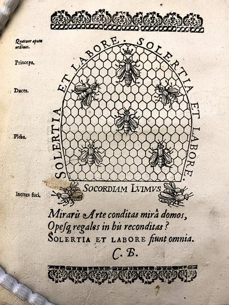 Frontispiece of the 1623 edition, showing the hive and the orders of bees.