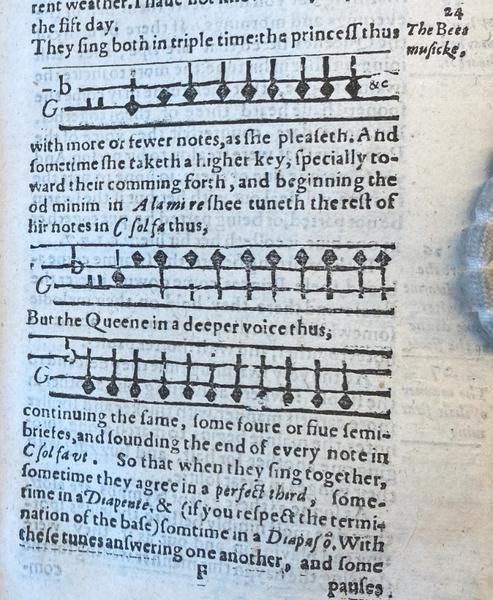 Detail from 1609 F1r, a snippet of music as it appears in the first edition of the Feminine Monarchie