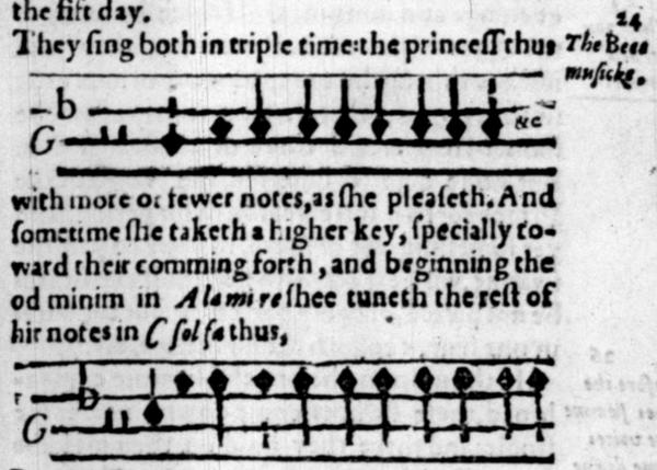 A detail from 1609