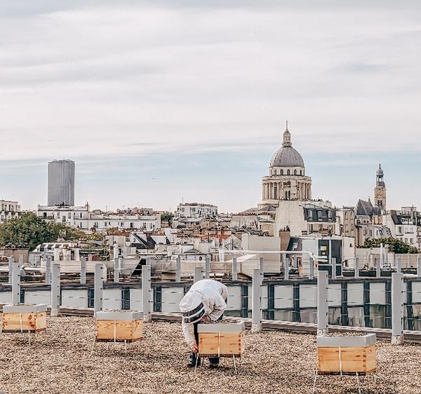 A picture of a beekeeper tending to one beehive (out of four) on a roof of a building with the skyline of a city (Paris) on the background