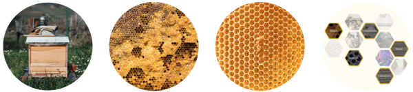 A series of progressively abstract representations of a hive culminating on the landing page of the website