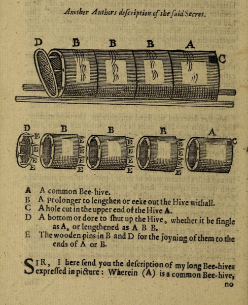 A schematic drawing of the 'High-Dutch' correspondent's horizontal modular hive
