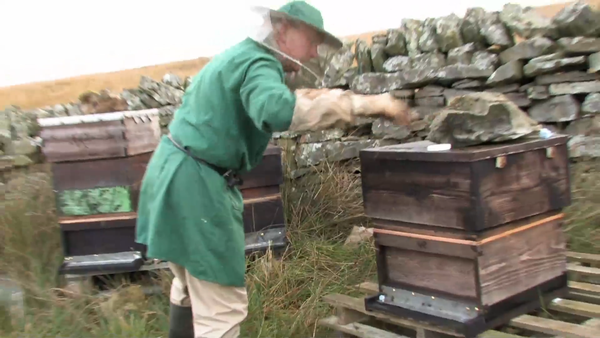 A screen grab from Where the Bee Sucks, depicting the beekeeper, Ralph, tending to his hives dressed in a green smock and face veil.