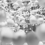 a close up of white flowers, 3d art